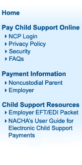 texas child support non custodial